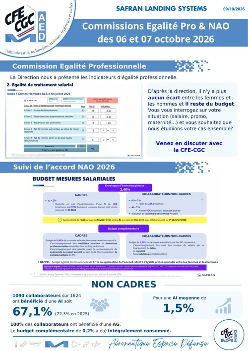 Aperçu : Commissions Égalité Pro & NAO des 06 et 07 octobre 2026
